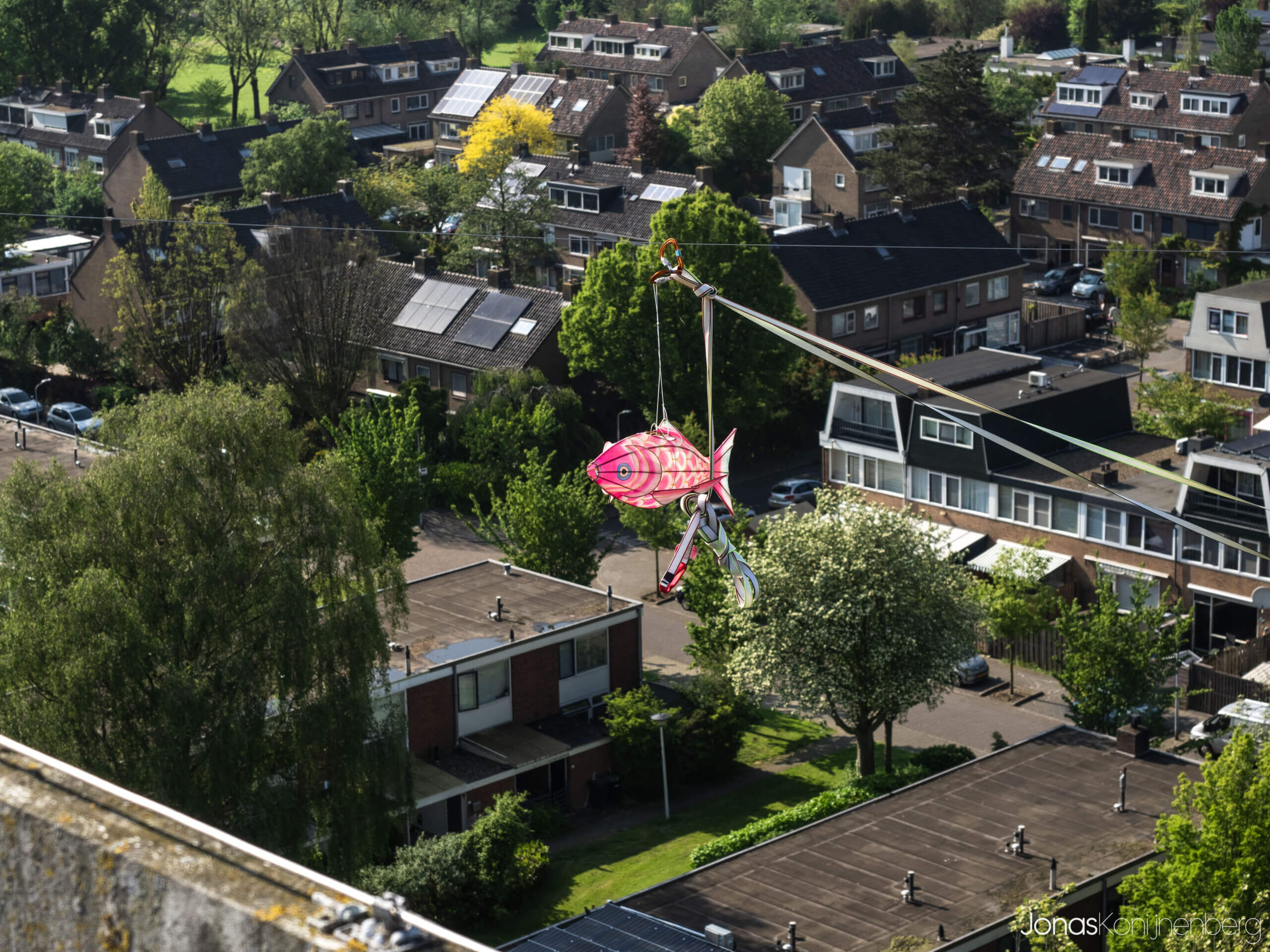 Projectvoorstel: Hoogtepunten in Kogerveld Zaandam